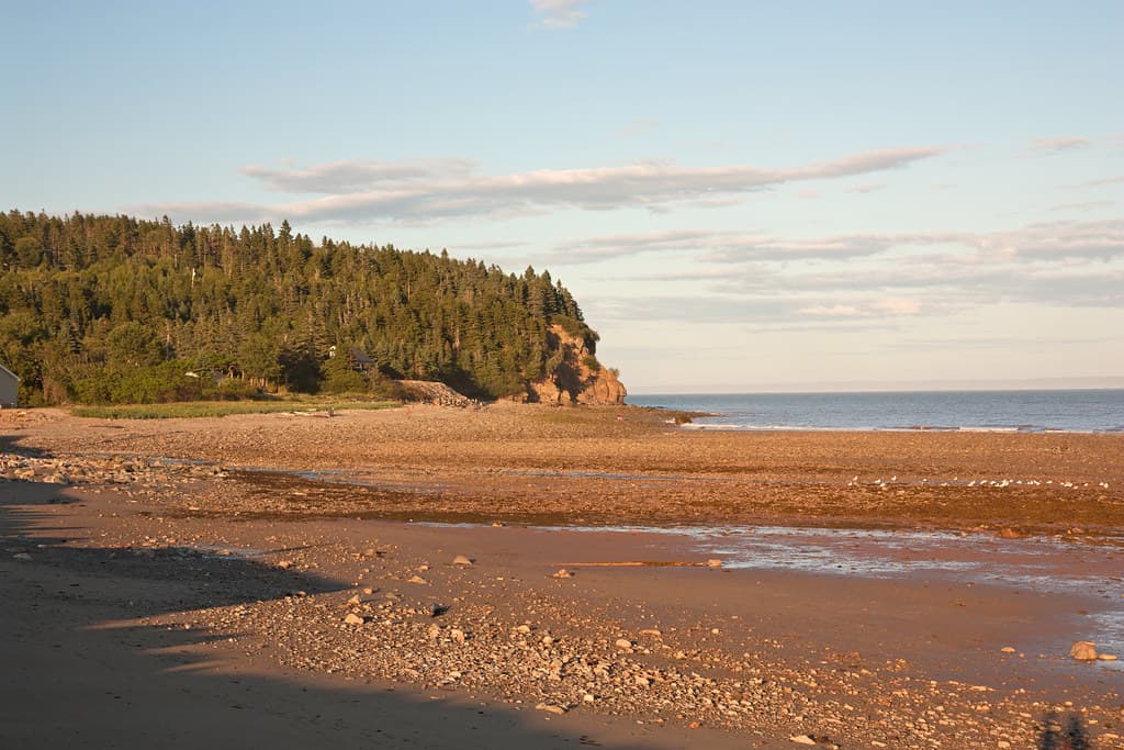 Point Wolfe Beach