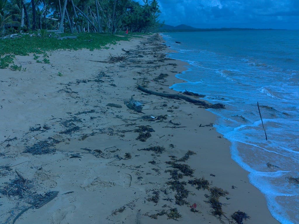 Wongaling Beach view 2