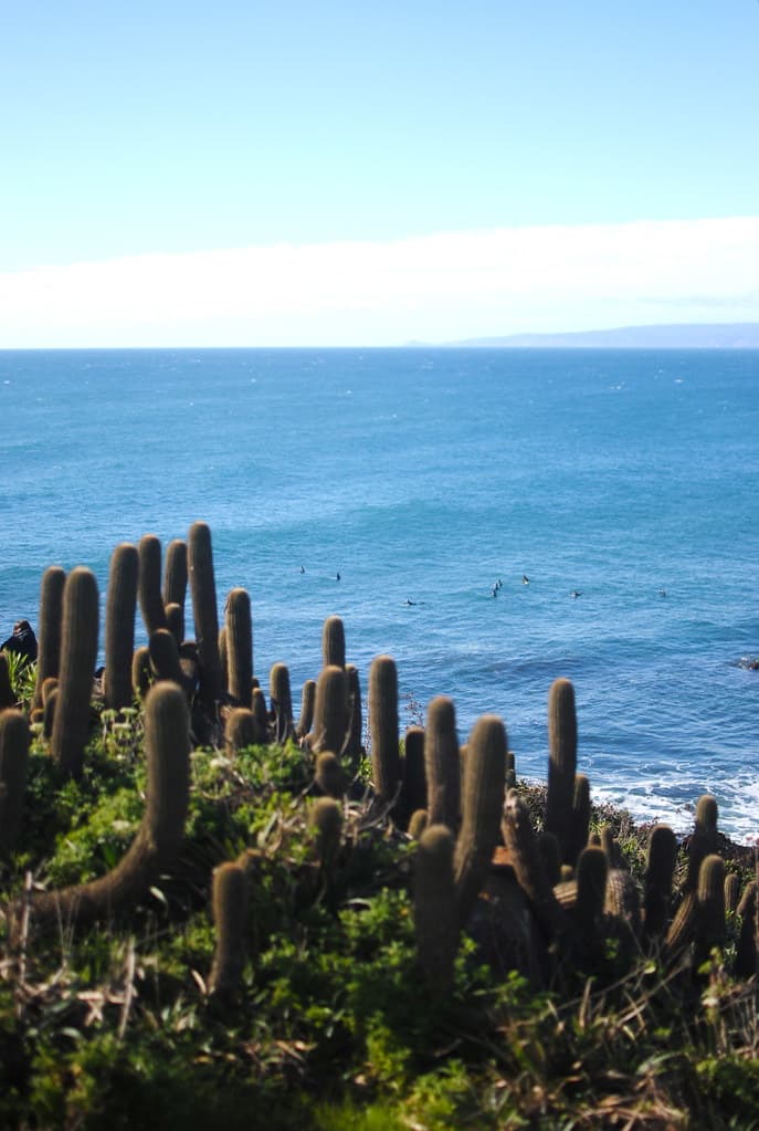 Playa Punta Verde view 2