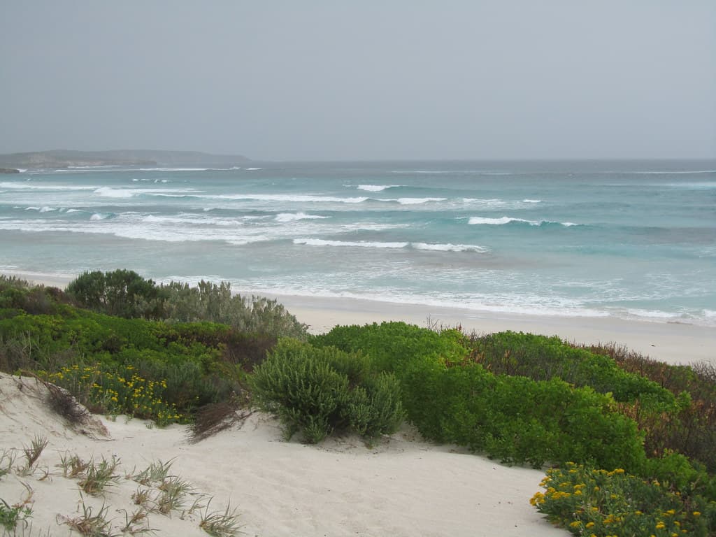 Bales Beach