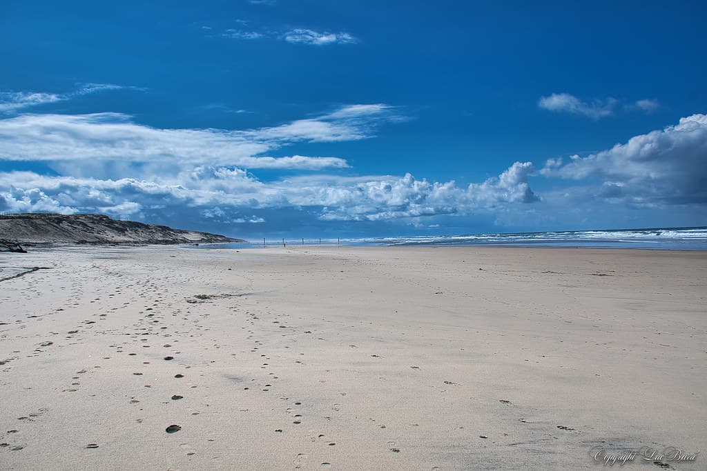 Plage Centrale de Biscarrosse view 2