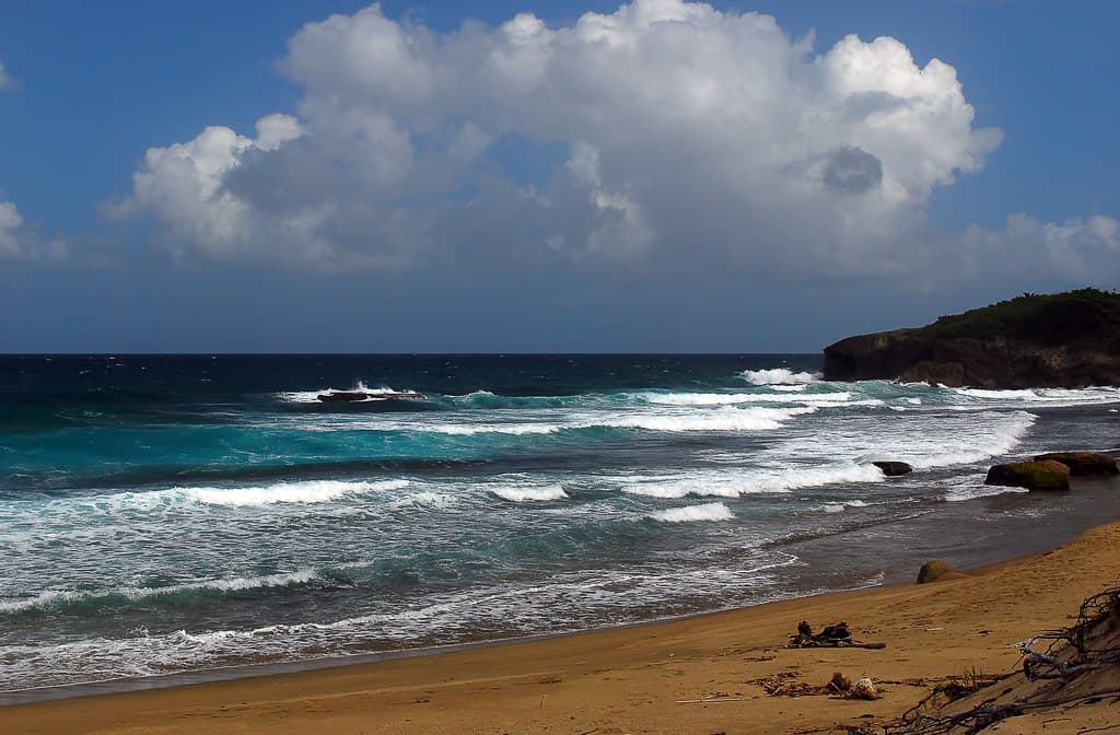 Shore Island Beach view 3