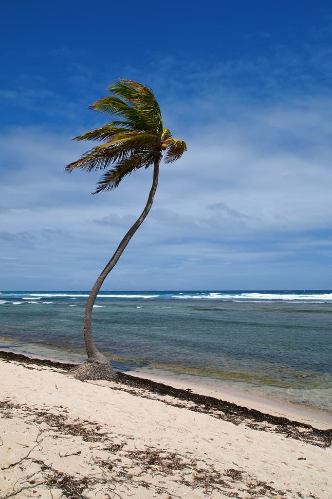 Crooked Island Beach