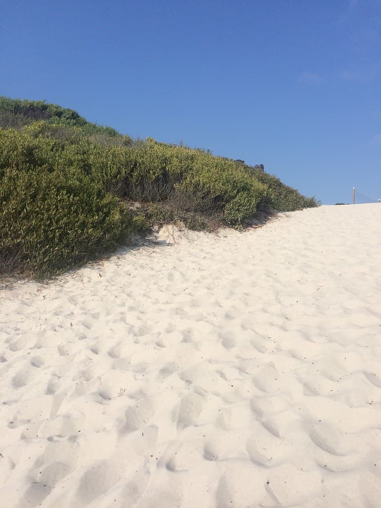 Del Monte Dunes Beach