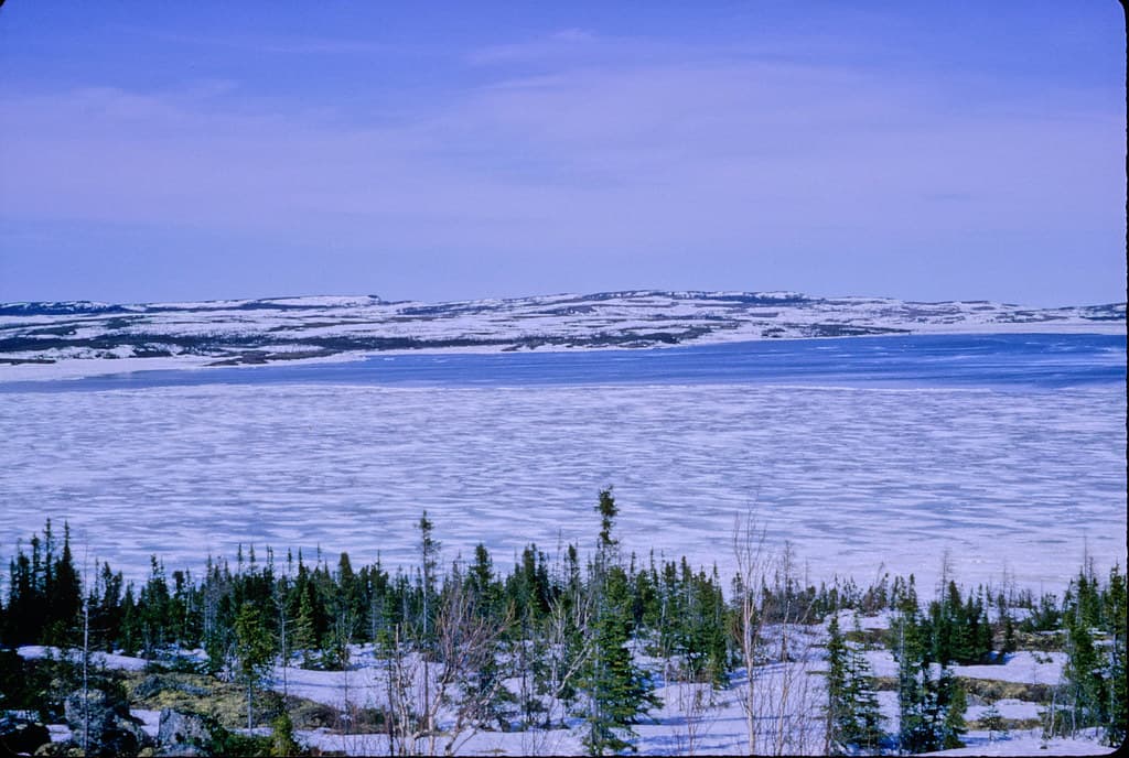 Cartwright Beach