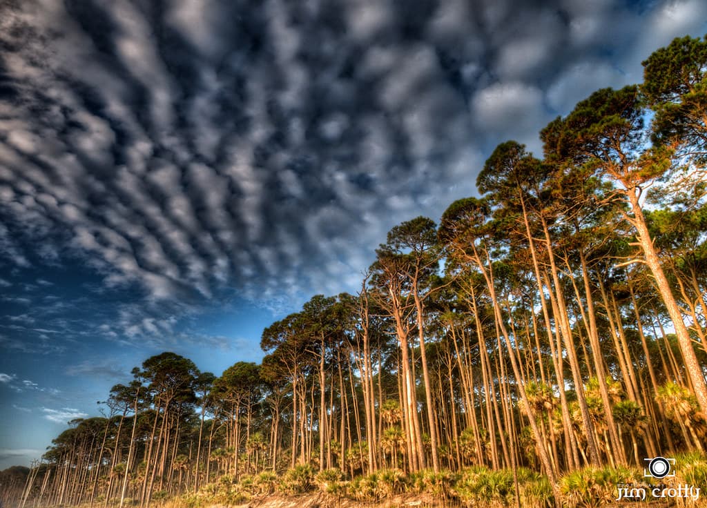 Hunting Island State Park Beach view 2