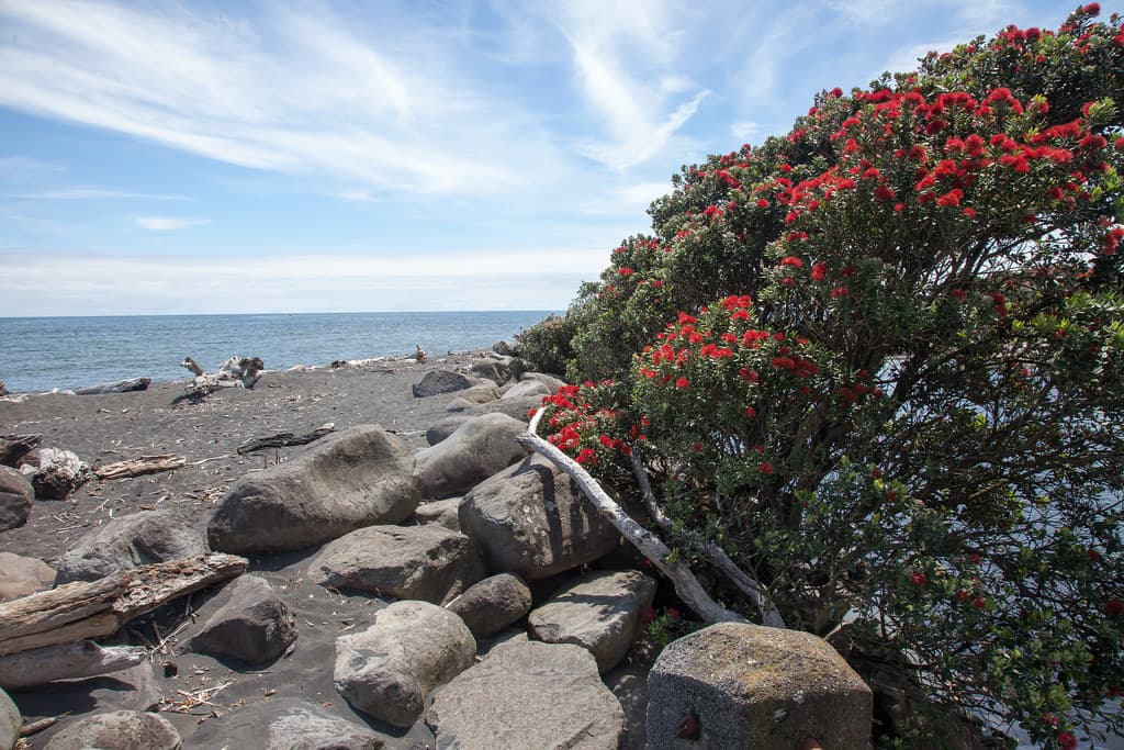 Kawaroa Beach