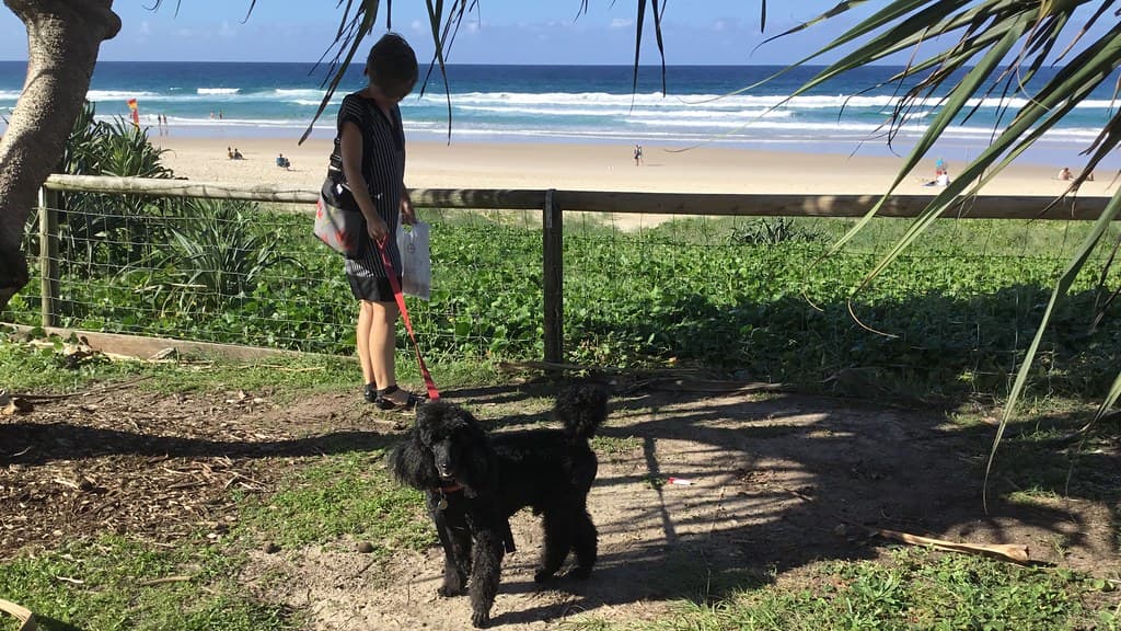 Tugun Beach view 2