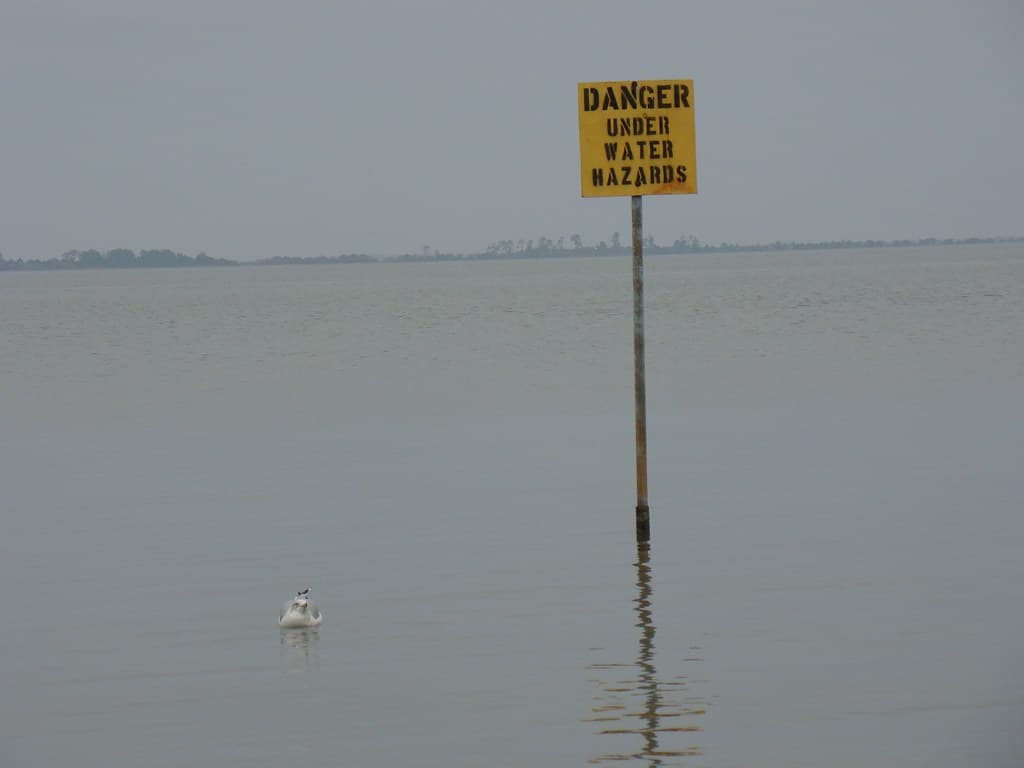 Wassaw Island Beach