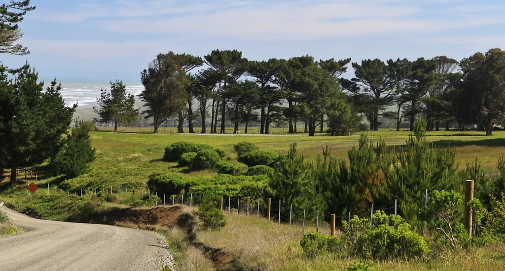 #mypubliclandsroadtrip 2016: On the Way To, Lost Coast Headlands