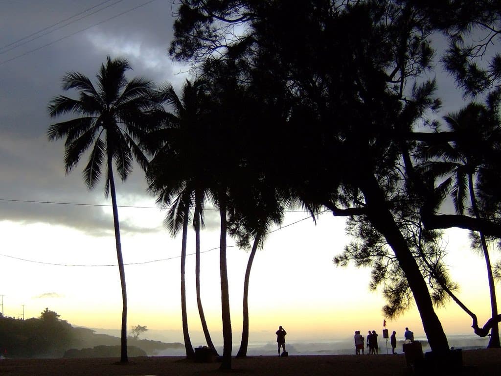 Waialua Beach