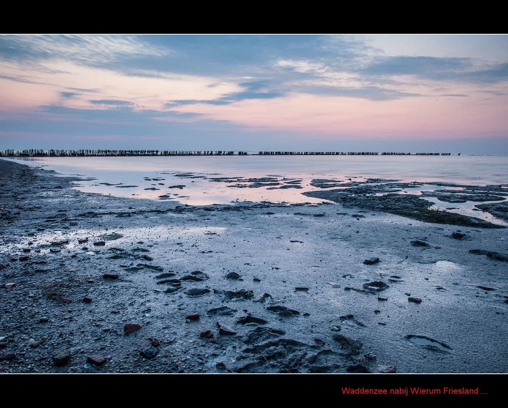 Ternaard Wadden Shore view 2