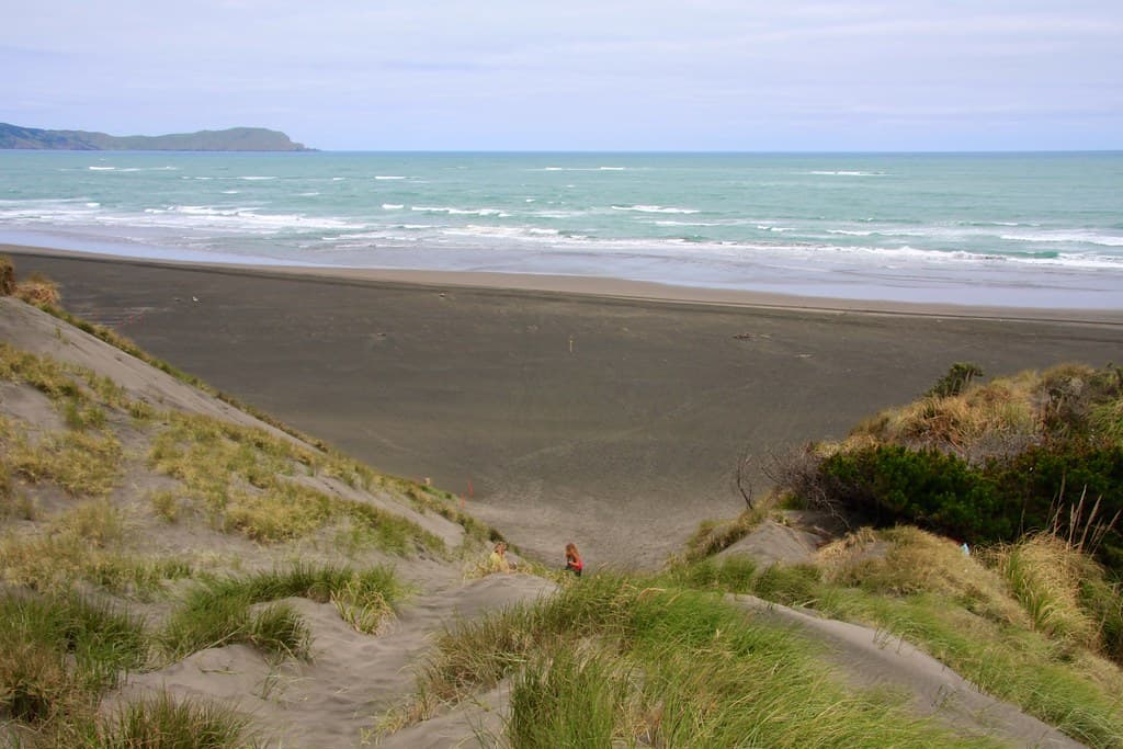 Aotea Harbour Beach