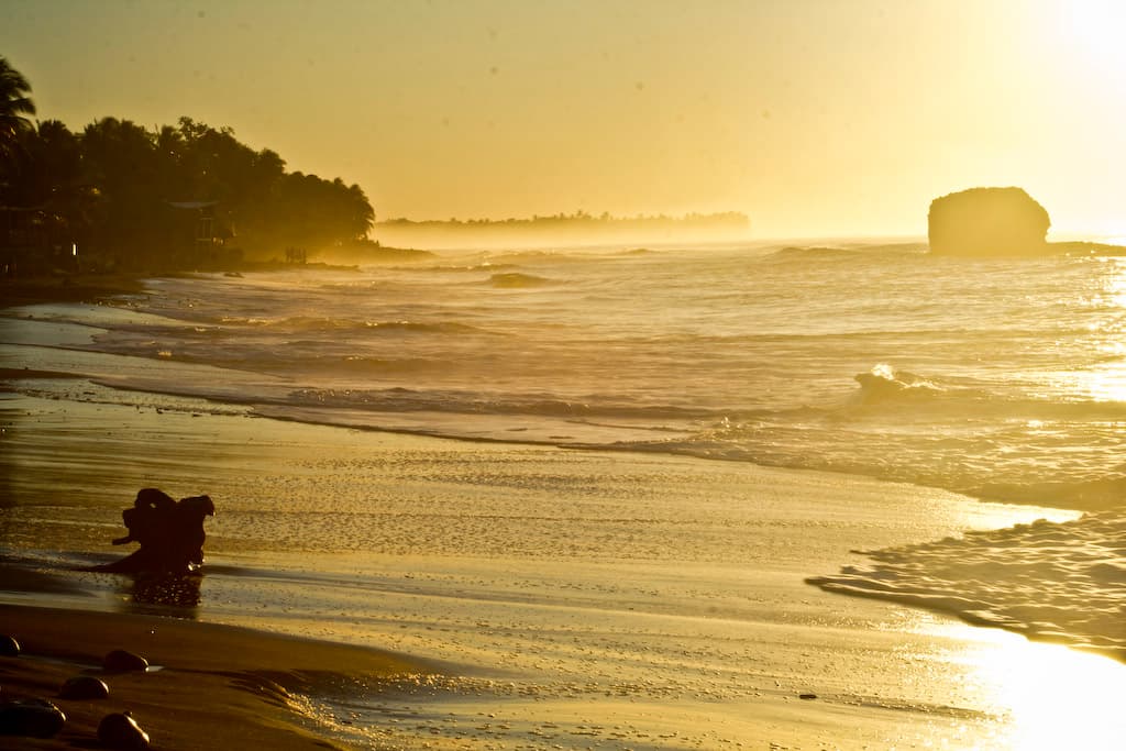 Playa Atami view 3