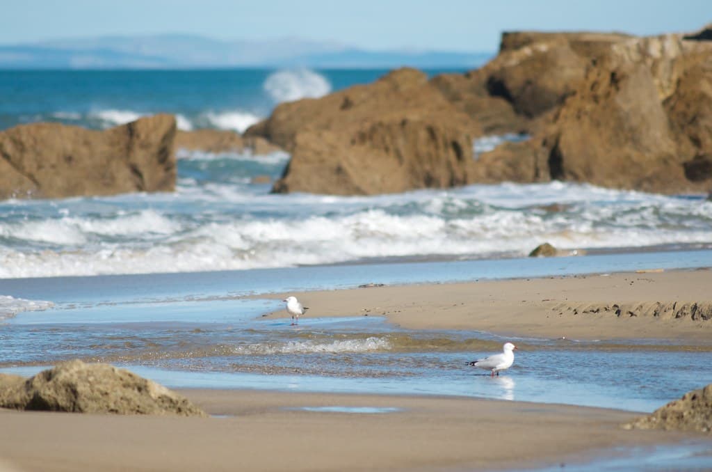Tangoio Beach