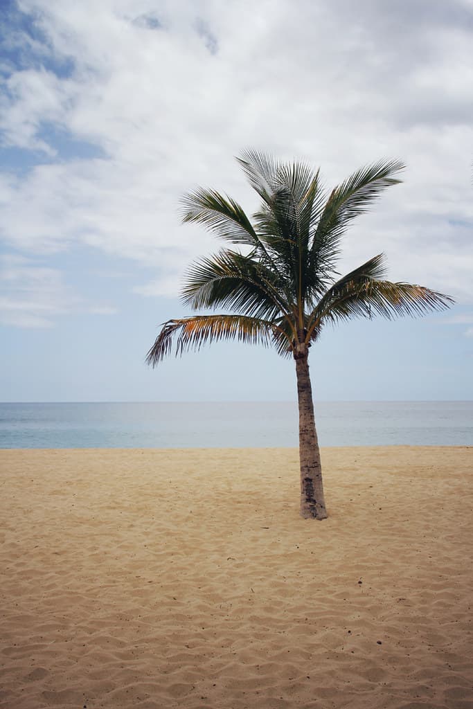 Hulopoe Beach view 3