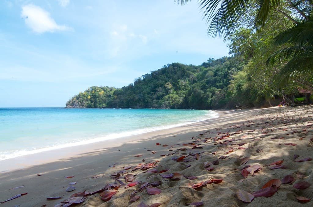 Dead Bay