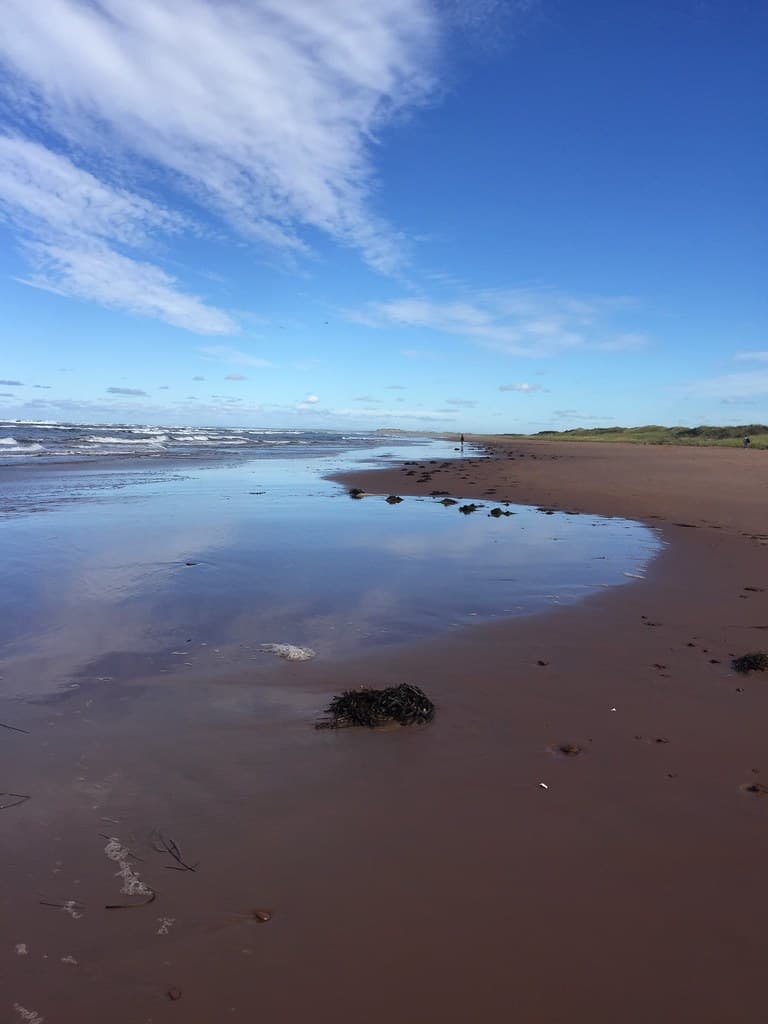 Blooming Point Beach