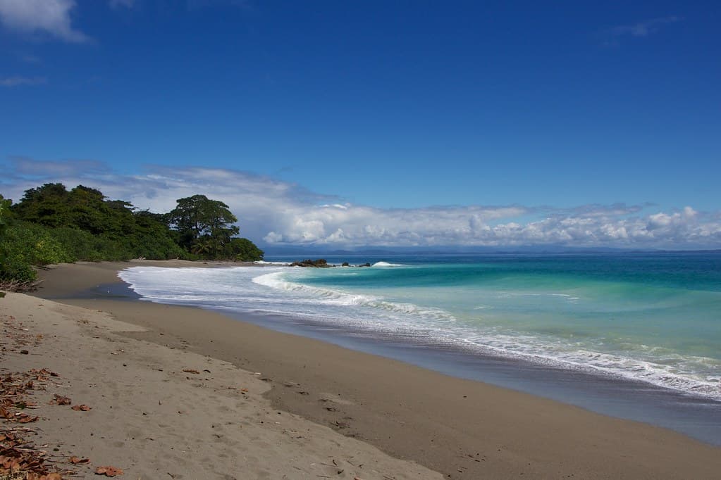 Playa Backwash
