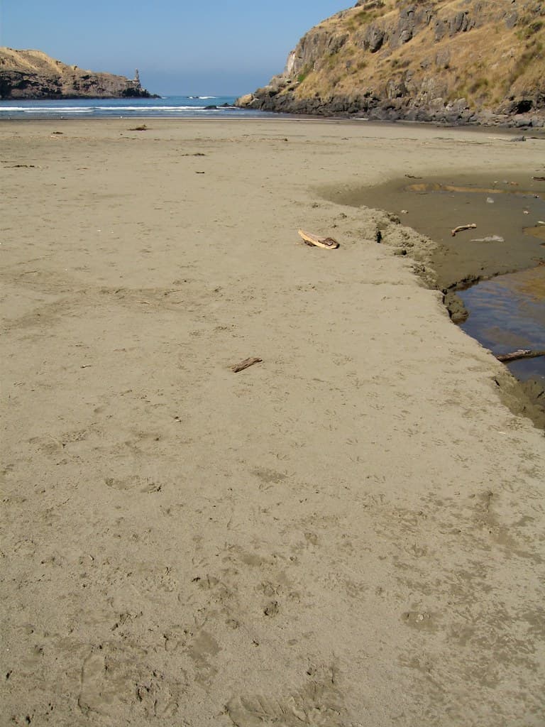 Birdlings Flat Beach