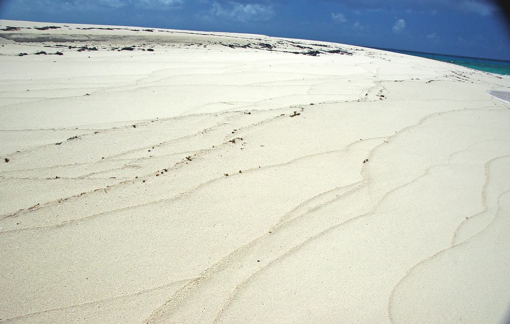 Swash lines on aragonite sand beach (Sandy Point, southwestern San Salvador Island, eastern Bahamas)