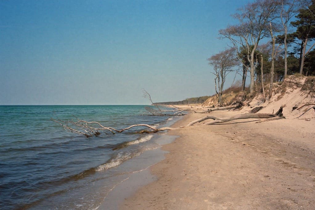 Bliesenrad Bodden Beach