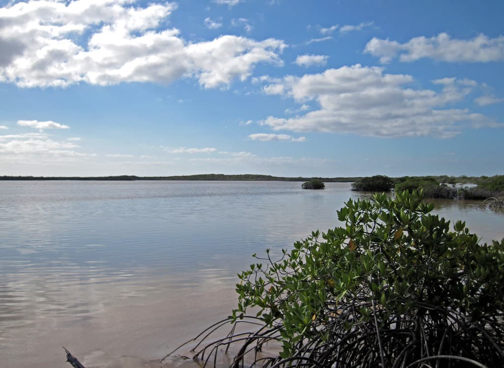 Horn Island Beach view 3