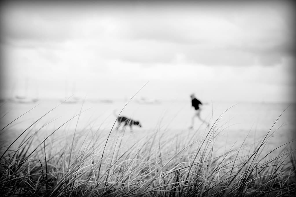 Hampton Beach
