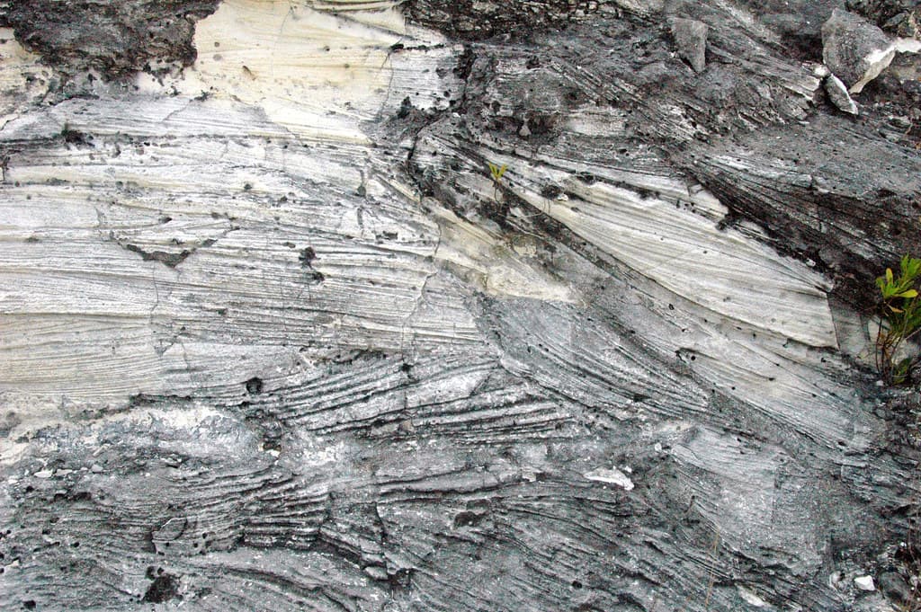 Calcarenitic eolianite limestone (Cockburn Town Member, Grotto Beach Formation, Upper Pleistocene, 119-122 ka; Watling's Blue Hole overlook roadcut, San Salvador Island, Bahamas)