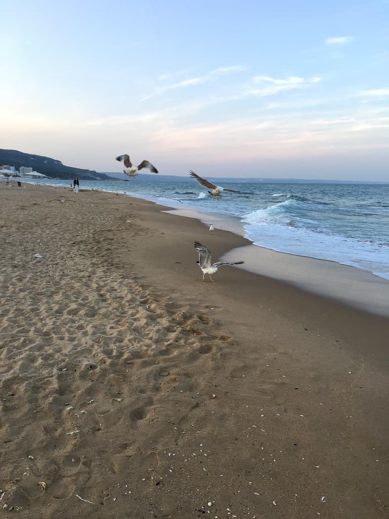 Golden Sands Beach view 3
