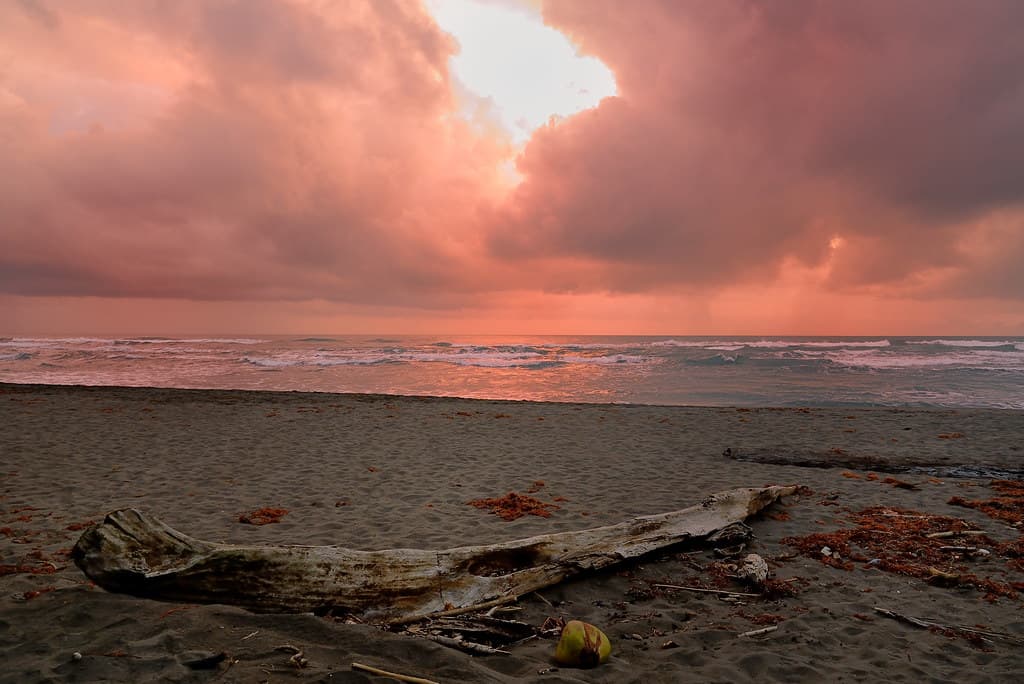 Playa Tortuguero Norte view 2