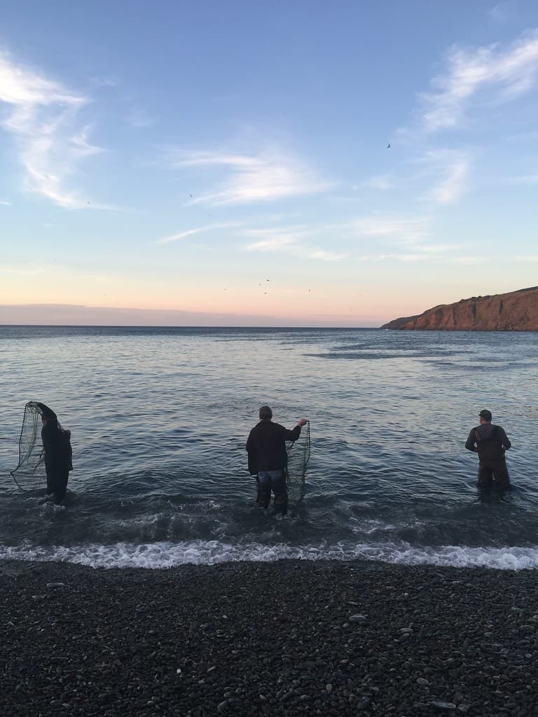 Middle Cove Beach view 2