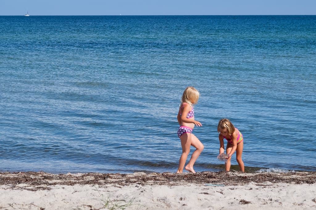 Bøtø Strand view 3