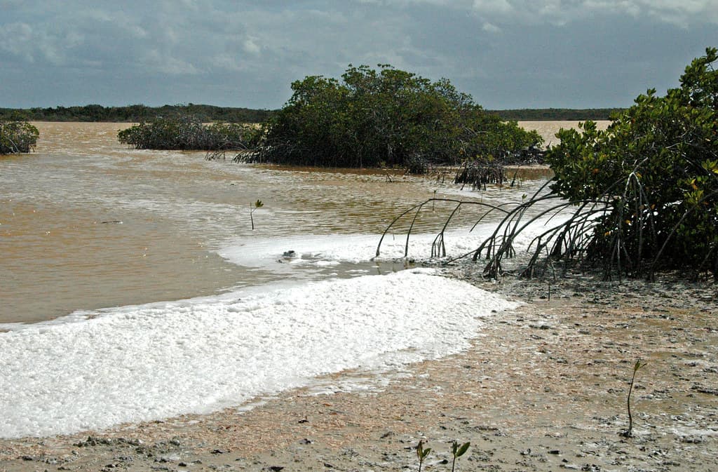 Horn Island Beach view 2