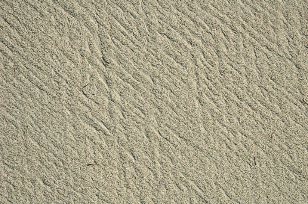 Rhomboid ripples on aragonite sand beach (San Salvador Island, Bahamas) 4