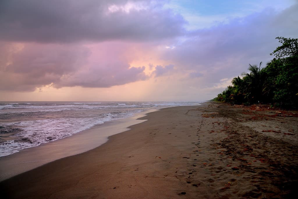 Playa Tortuguero Norte view 3