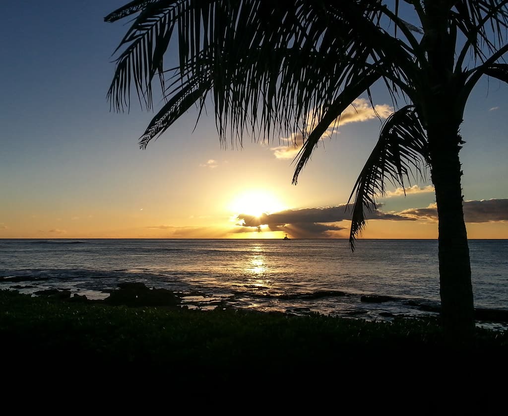 Paradise Cove Beach