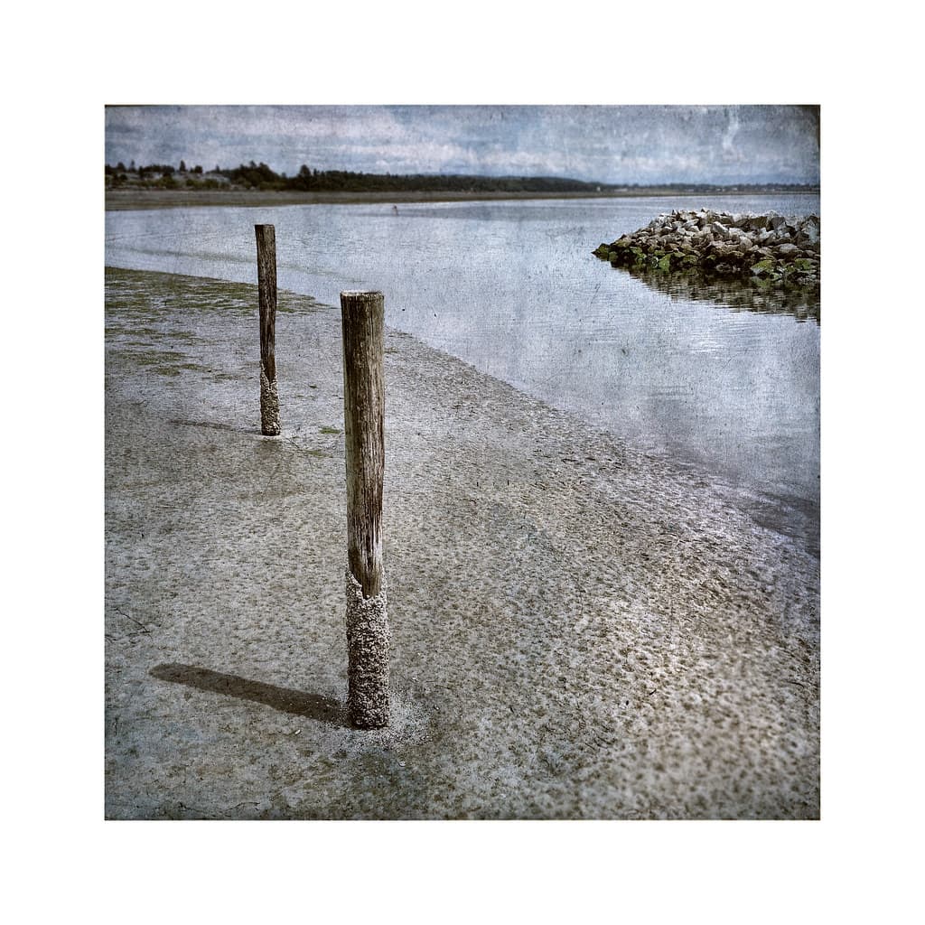 Semiahmoo Beach
