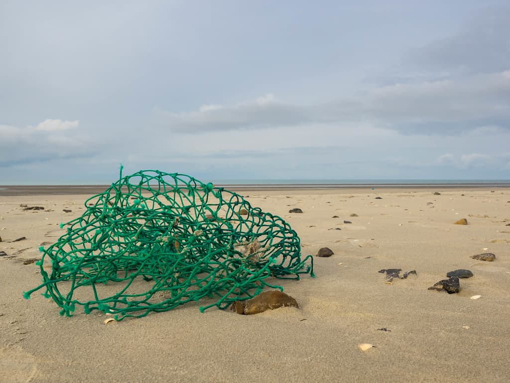 Strand Jan van Renesse