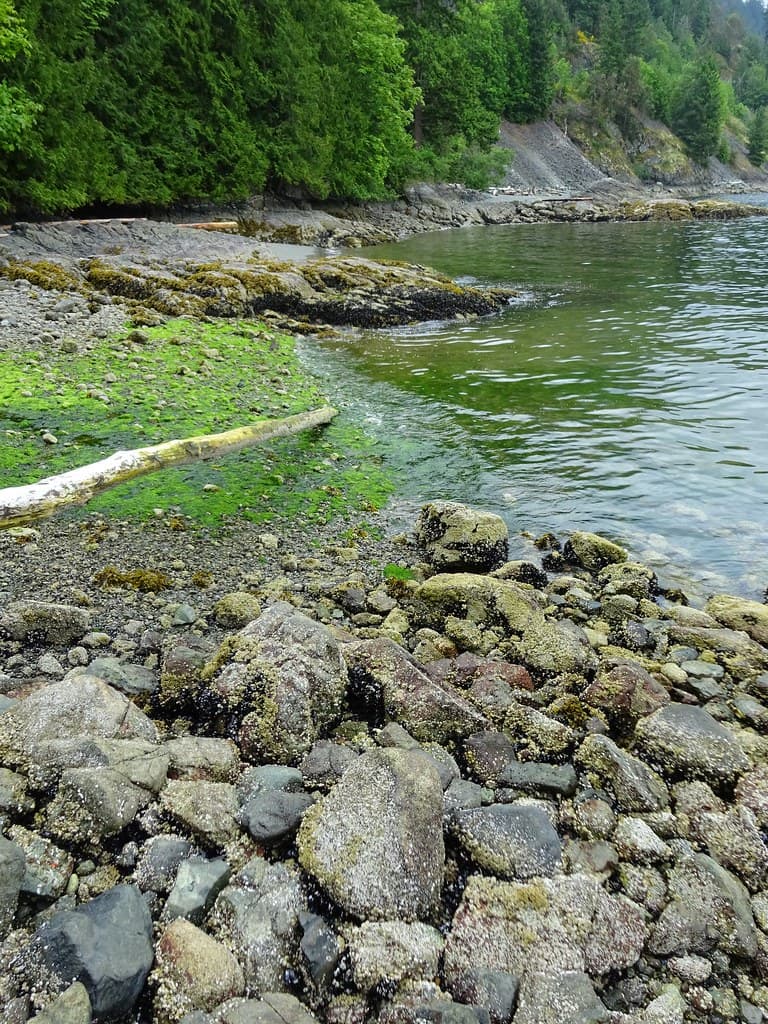 Kelvin Grove Beach