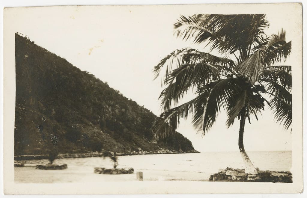 Playa El Pino