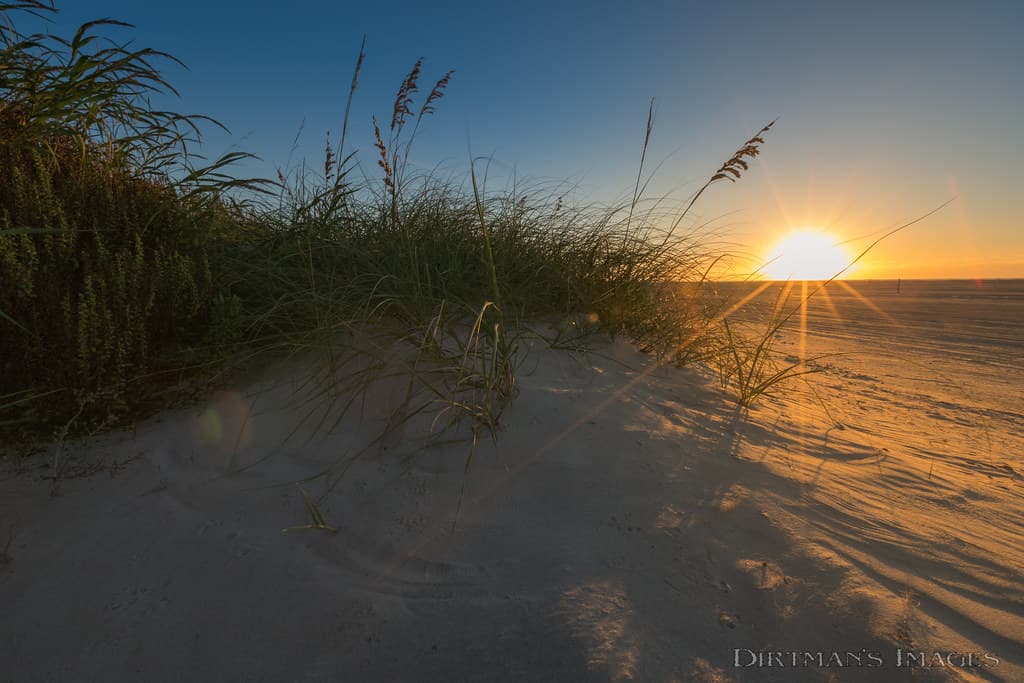 Springers Point Beach