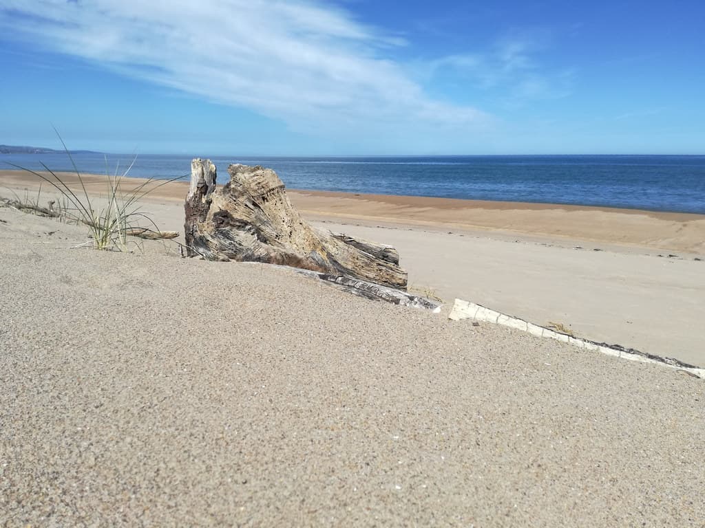 Cheswick Sands view 2