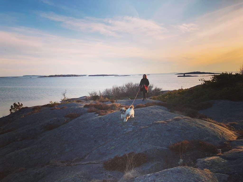 Hankø North Rocks Beach