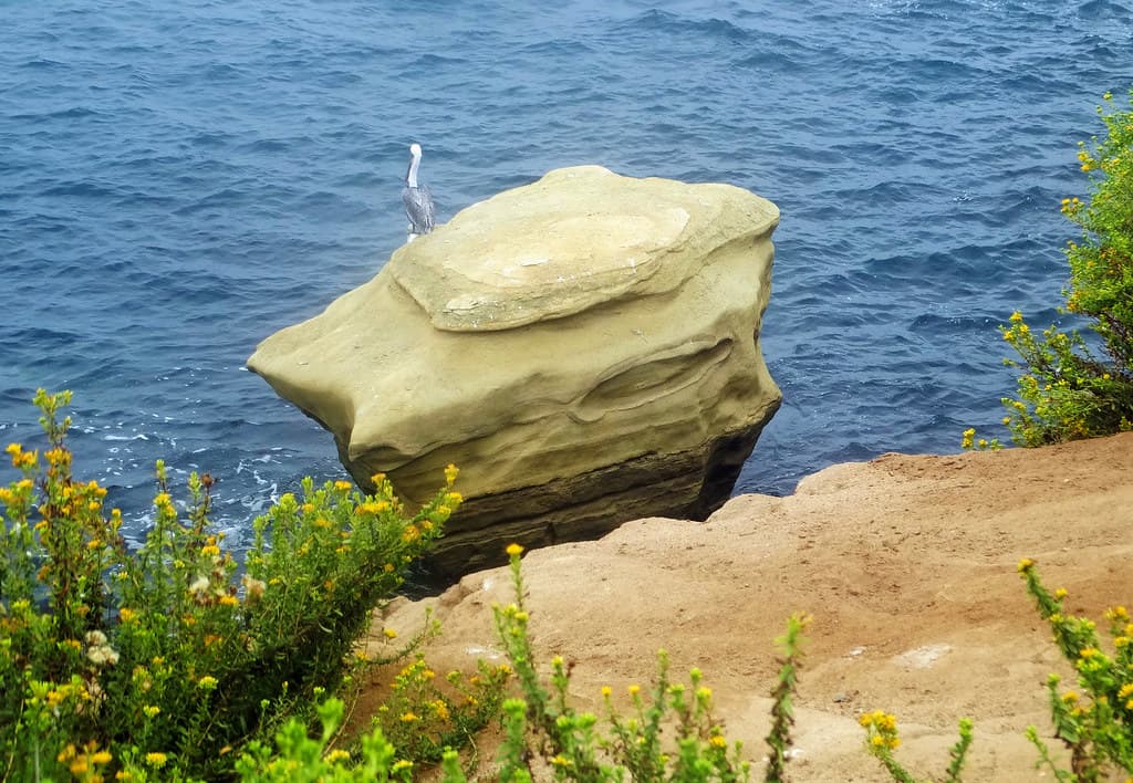 La Jolla Cove view 2