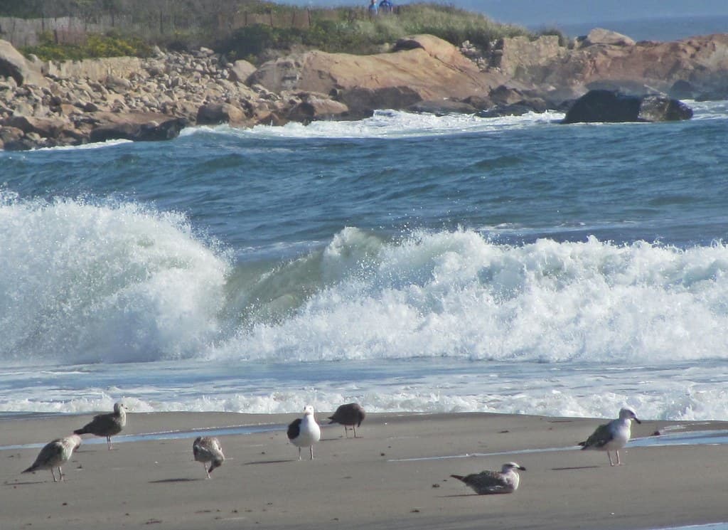 Fishermens Memorial State Park Shore