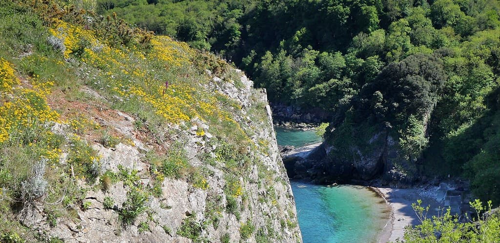 Torre Abbey Sands view 3