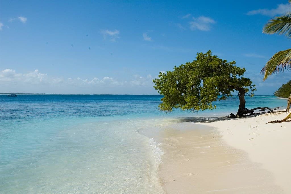 Playa Punta Brava