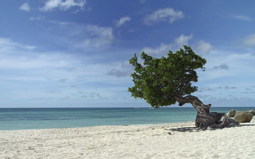 Bushiri Beach