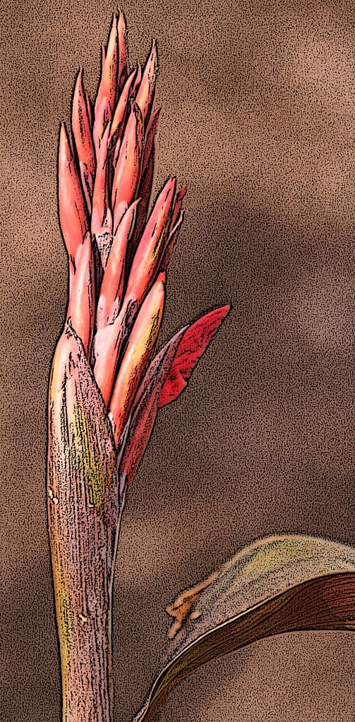 Prince Charles Beach